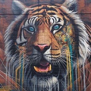 Meet your Posher, Carol